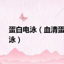 蛋白电泳（血清蛋白电泳）