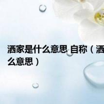 洒家是什么意思 自称(洒家是什么意思)