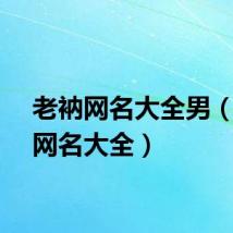 老衲网名大全男（老衲网名大全）