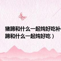 猪蹄和什么一起炖好吃补钙(猪蹄和什么一起炖好吃)