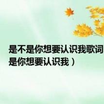 是不是你想要认识我歌词(是不是你想要认识我)