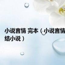 小说言情 完本(小说言情高分完结小说)