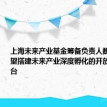 上海未来产业基金筹备负责人魏凡杰:希望搭建未来产业深度孵化的开放母基金平台