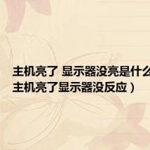 主机亮了 显示器没亮是什么情况(主机亮了显示器没反应)