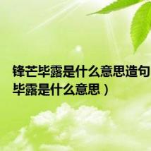锋芒毕露是什么意思造句(锋芒毕露是什么意思)