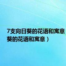 7支向日葵的花语和寓意(向日葵的花语和寓意)
