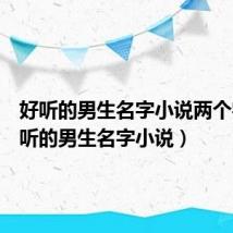 好听的男生名字小说两个字(好听的男生名字小说)