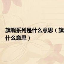 旗舰系列是什么意思(旗舰版是什么意思)