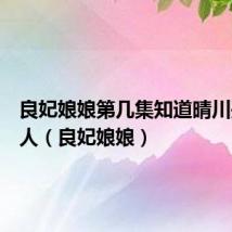 良妃娘娘第几集知道晴川是现代人(良妃娘娘)