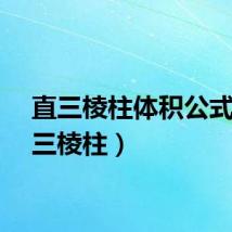 直三棱柱体积公式（直三棱柱）