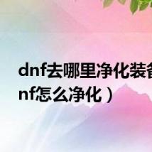 dnf去哪里净化装备(dnf怎么净化)