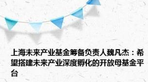 上海未来产业基金筹备负责人魏凡杰：希望搭建未来产业深度孵化的开放母基金平台