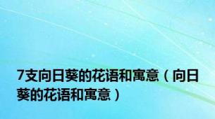 7支向日葵的花语和寓意（向日葵的花语和寓意）
