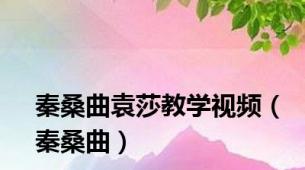 秦桑曲袁莎教学视频（秦桑曲）