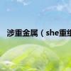 涉重金属（she重组）