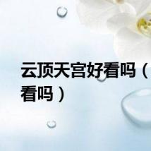 云顶天宫好看吗（宫好看吗）