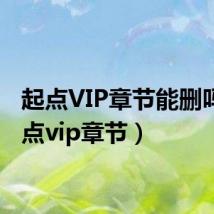 起点VIP章节能删吗(起点vip章节)