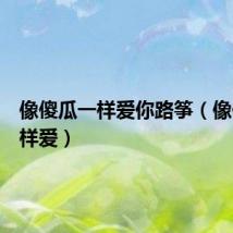 像傻瓜一样爱你路筝（像傻瓜一样爱）