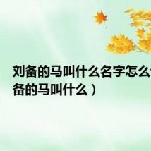 刘备的马叫什么名字怎么读（刘备的马叫什么）