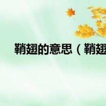鞘翅的意思（鞘翅）