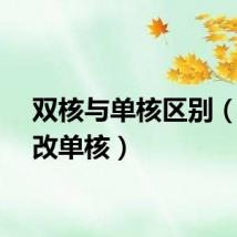 双核与单核区别(双核改单核)
