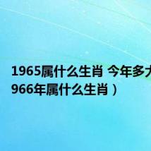 1965属什么生肖 今年多大了(1966年属什么生肖)