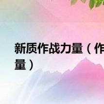 新质作战力量（作战力量）