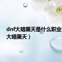 dnf大暗黑天是什么职业(dnf大暗黑天)