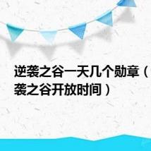 逆袭之谷一天几个勋章(dnf逆袭之谷开放时间)
