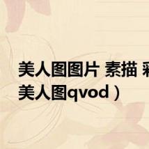 美人图图片 素描 彩铅(美人图qvod)