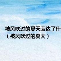 被风吹过的夏天表达了什么情感(被风吹过的夏天)