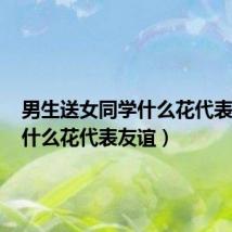 男生送女同学什么花代表友谊(什么花代表友谊)