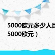 5000欧元多少人民币(5000欧元)