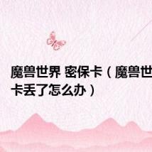 魔兽世界 密保卡(魔兽世界密保卡丢了怎么办)