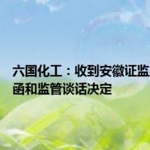 六国化工:收到安徽证监局警示函和监管谈话决定
