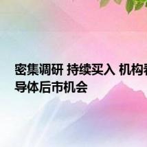 密集调研 持续买入 机构看好半导体后市机会
