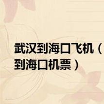 武汉到海口飞机(武汉到海口机票)