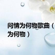 问情为何物歌曲（问情为何物）