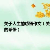 关于人生的感悟作文(关于人生的感悟)