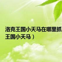 洛克王国小天马在哪里抓(洛克王国小天马)