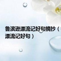 鲁滨逊漂流记好句摘抄(鲁滨逊漂流记好句)