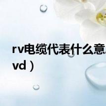 rv电缆代表什么意思(rvd)
