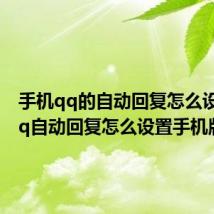 手机qq的自动回复怎么设置(qq自动回复怎么设置手机版)