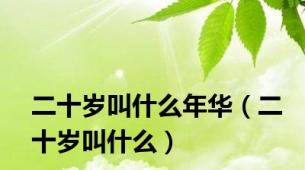 二十岁叫什么年华（二十岁叫什么）