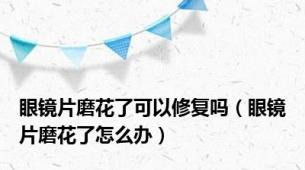 眼镜片磨花了可以修复吗（眼镜片磨花了怎么办）