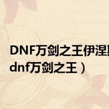 DNF万剑之王伊涅斯塔(dnf万剑之王)