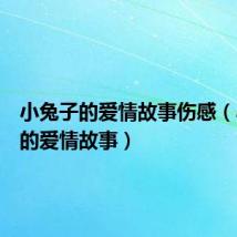 小兔子的爱情故事伤感(小兔子的爱情故事)
