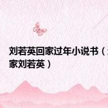 刘若英回家过年小说书(过年回家刘若英)