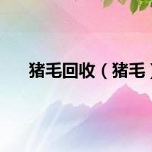 猪毛回收(猪毛)
