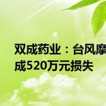 双成药业:台风摩羯造成520万元损失
